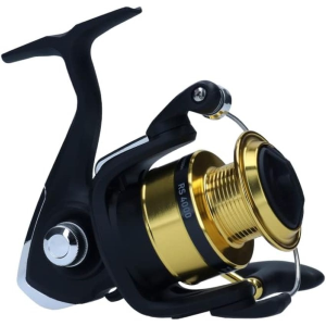 Mulinello RS LT Daiwa