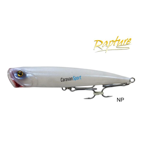 Corsaro 140 F Rapture