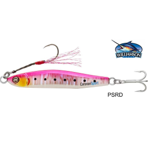 Williamson Trick Metal Jig 30 g