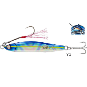Williamson Trick Metal Jig 30 g