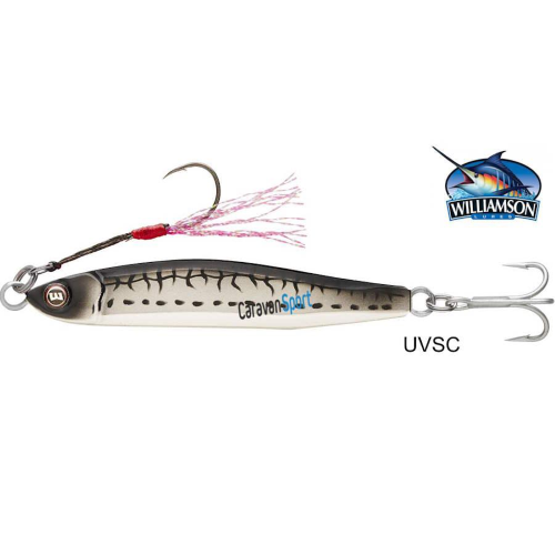 Williamson Trick Metal Jig 30 g