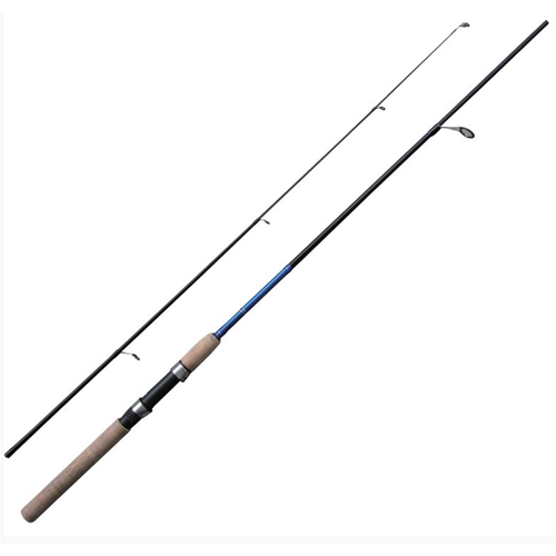 Canna Safina Spin Okuma