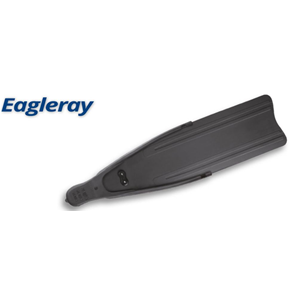 Pinne Eagleray Omer