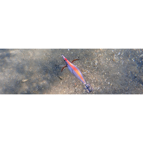 Totanara White Killer Oita 3.0 DTD