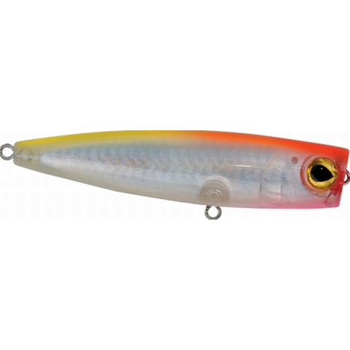 Yankee Pop 105 F Rapture