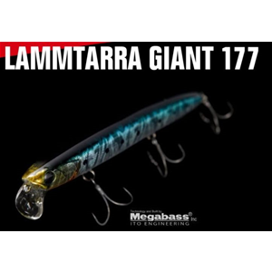 Lammtarra Giant 177 F Apia