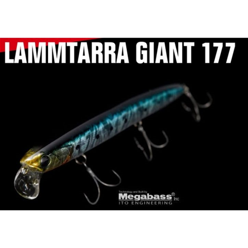 Lammtarra Giant 177 F Apia
