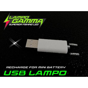 Chiavetta USB Ricaricabile Per Batterie Starlight LG 322 - 425 - 435 Lampo  Gamma - Caravan Sport