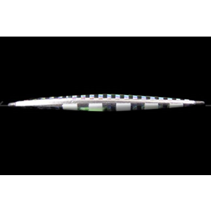 Raspateen TG Jig 30 gr Jackall