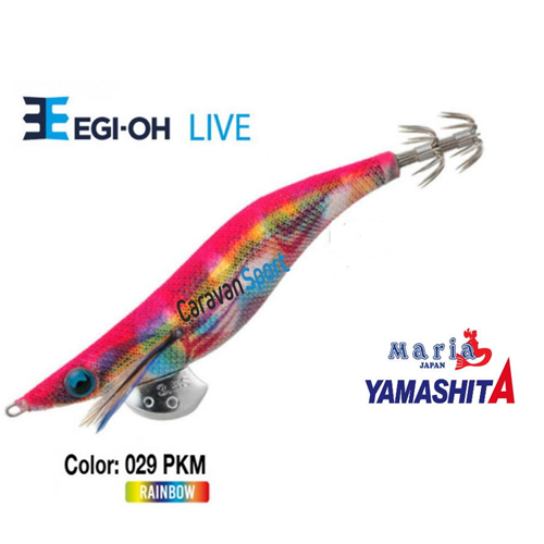 Jibionera Egi-OH Live 3.5 Shallow Yamashita