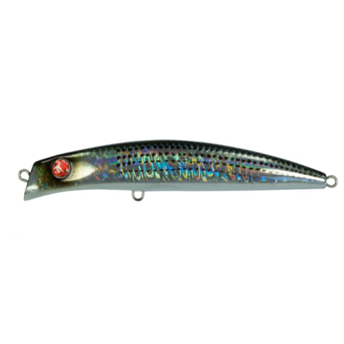 Coixedda 100 SS Seaspin