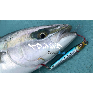 Sardine Jig MBJ05 40 gr Magbite