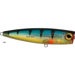 Yankee Pop 105 F Rapture