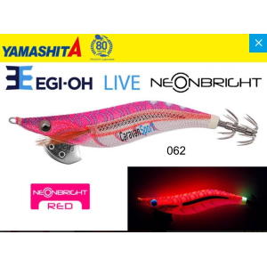 Yamashita Egi OH Live 2.5 Neon Bright