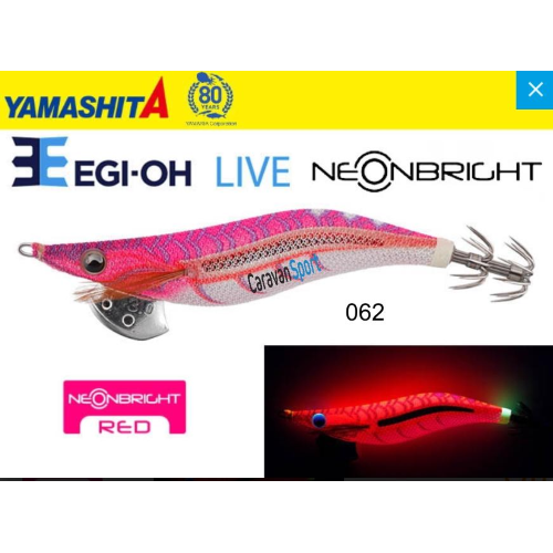 Yamashita Egi OH Live 2.5 Neon Bright
