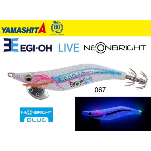 Yamashita Egi OH Live 2.5 Neon Bright