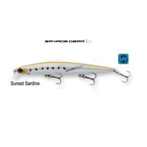 Sea Bass Minnow 120 S Savage Gear 