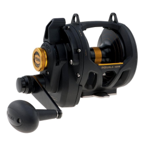 Mulinello Squall Lever Drag 2 Speed Penn
